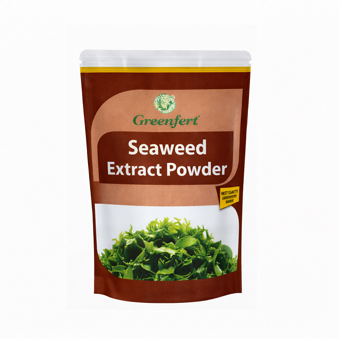 Seaweed Extract Powder 