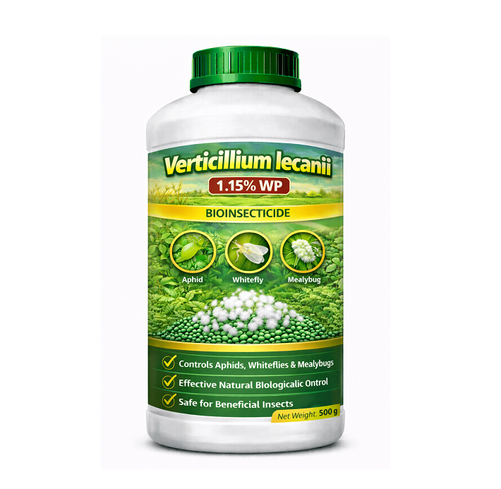 Verticillium lecanii 1.15% WP
