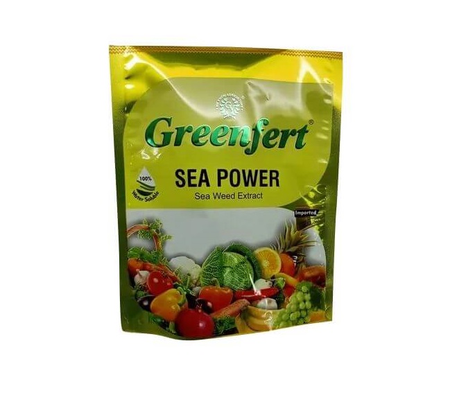 Sea Power Powder