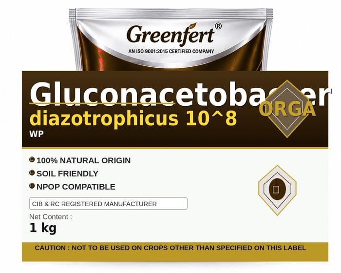Greenfert Gluconacetobacter diazotrophicus 10^8 — 8 packaging bag