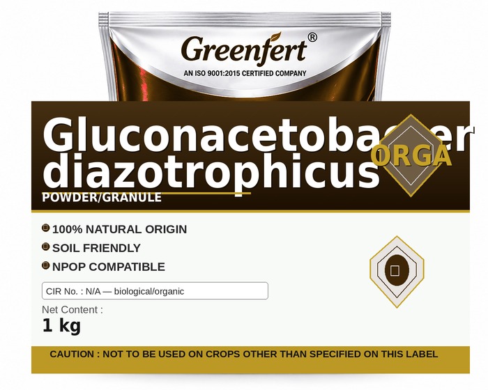 Greenfert Gluconacetobacter diazotrophicus — DIAZOTROPHICUS packaging bag