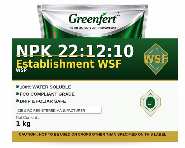 Greenfert NPK 22:12:10 Establishment WSF — WSF packaging bag