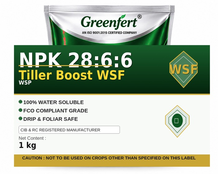 Greenfert NPK 28:6:6 Tiller Boost WSF — WSF packaging bag