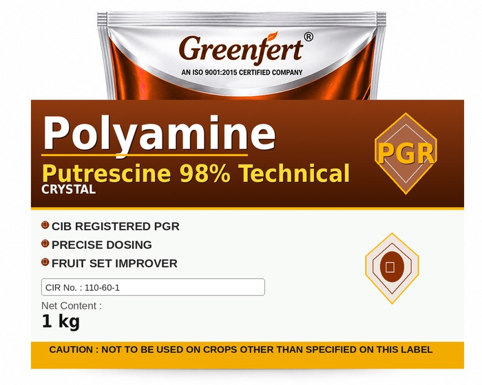Greenfert Polyamine Putrescine 98% Technical — TECHNICAL packaging bag