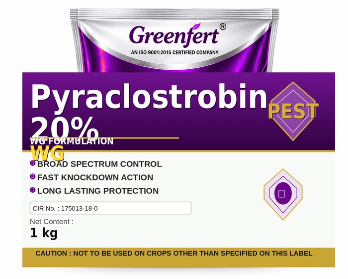 Pyraclostrobin 20% WG — WG packaging bag