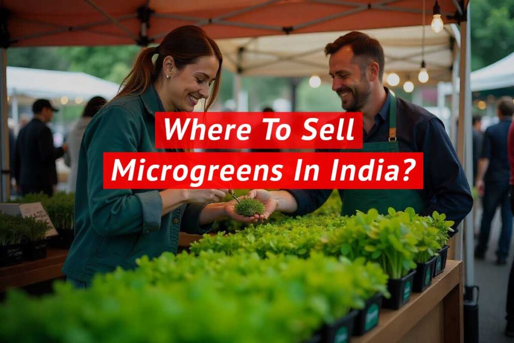 where-to-sell-microgreens-in-india
